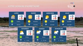 Illustration de l'actualité Votre semaine en Bretagne : des sensations estivales avant un week-end incertain