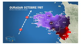 Illustration de l'actualité 15-16 octobre 1987 : l'ouragan ! 37 ans déjà !